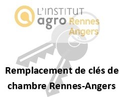 Remplacement de clés de chambres